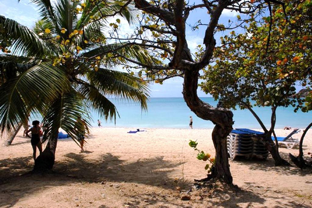 Island Beachcomber Hotel Altona Εξωτερικό φωτογραφία
